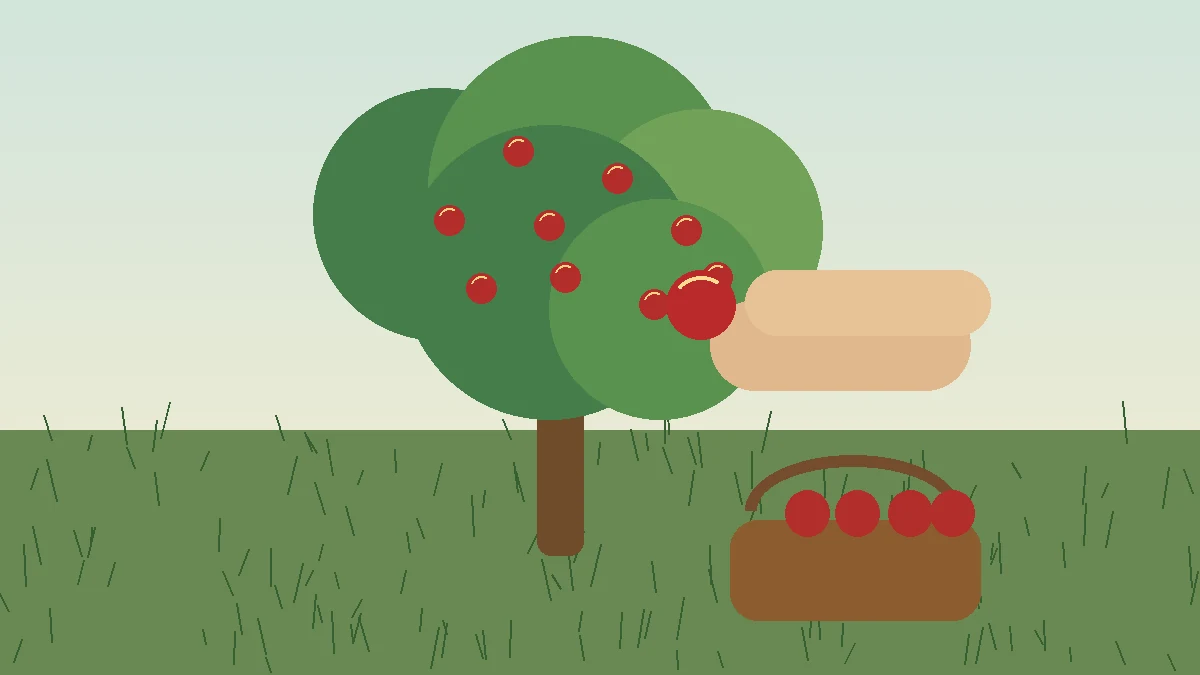 Mele mature raccolte delicatamente dall’albero